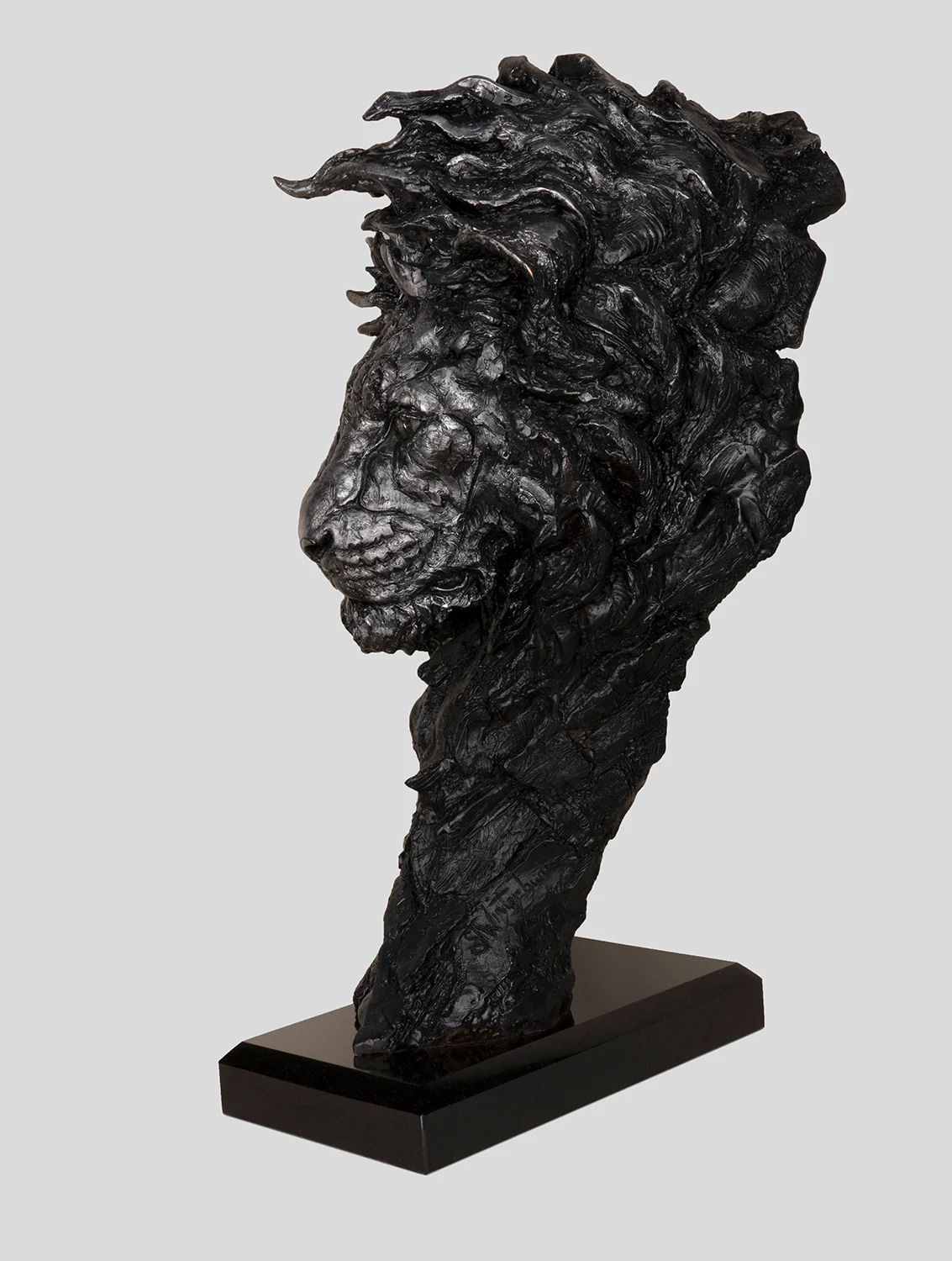 King of the Plains - Image 2