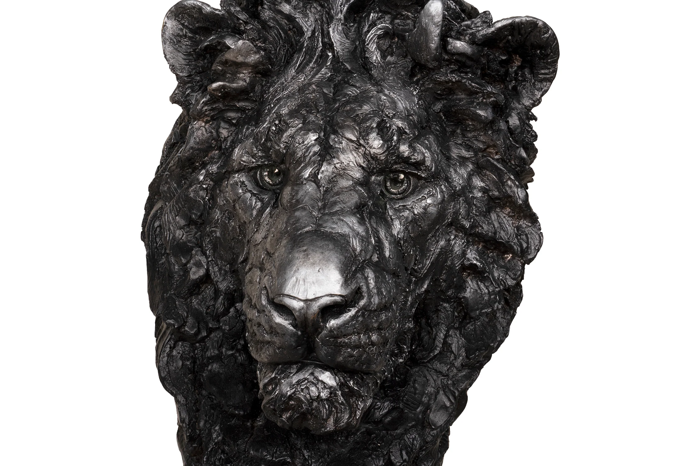 King of the Plains - Image 4