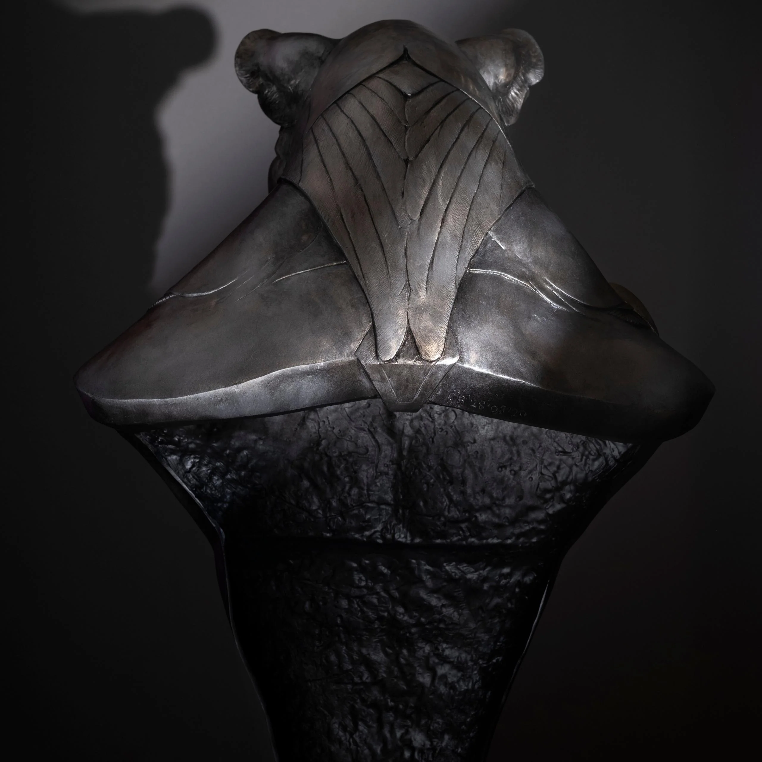 Wisdom - Image 7