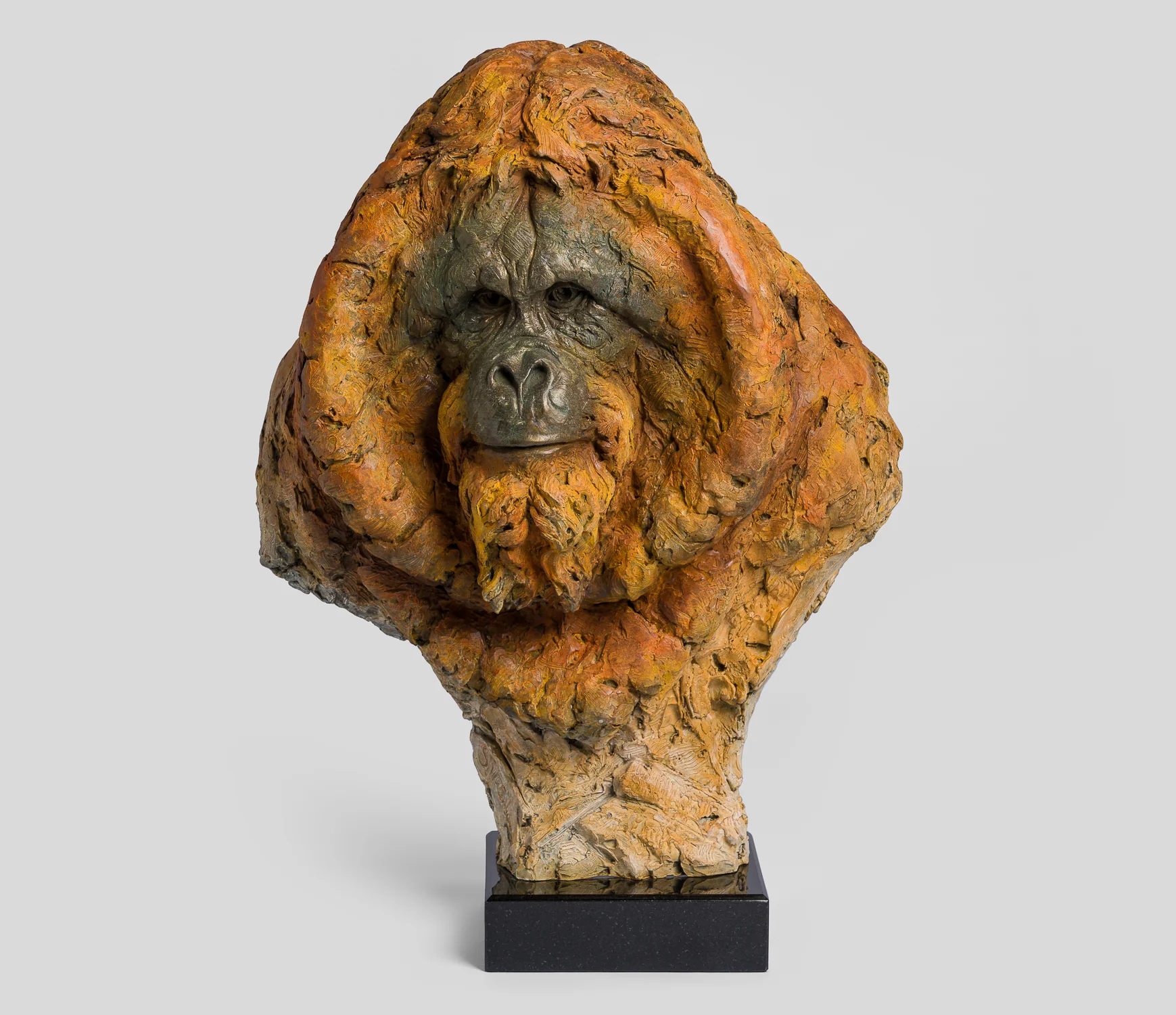 Wisdom of the Forest, Orangutan