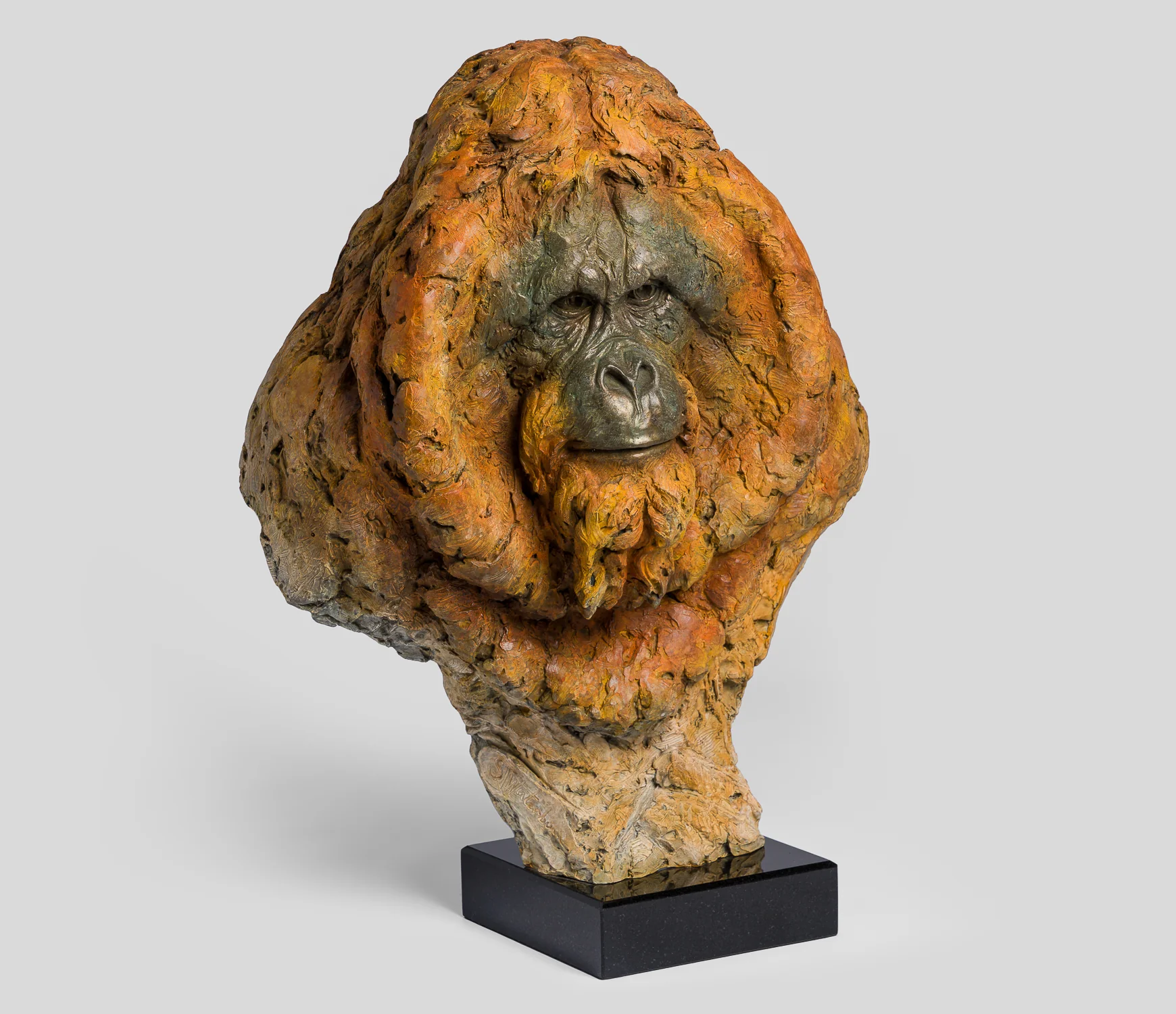 Wisdom of the Forest, Orangutan - Image 2
