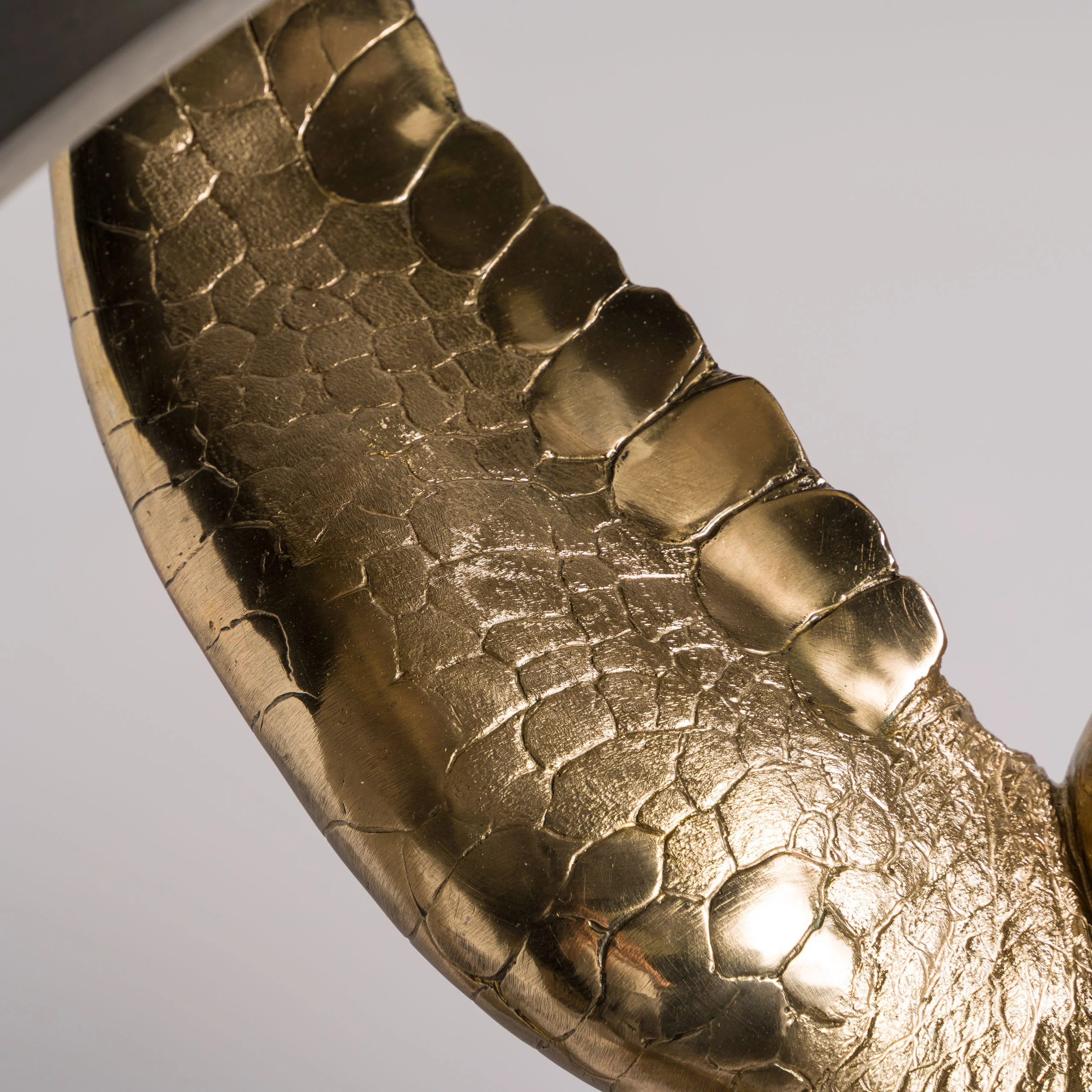 Wisdom | Timeless Collection - Image 5