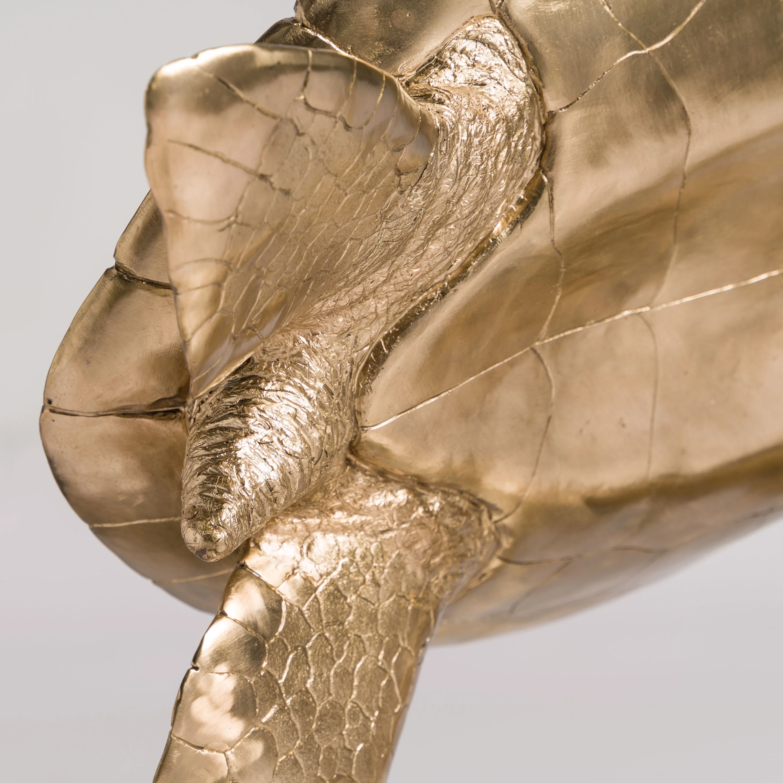 Wisdom | Timeless Collection - Image 7