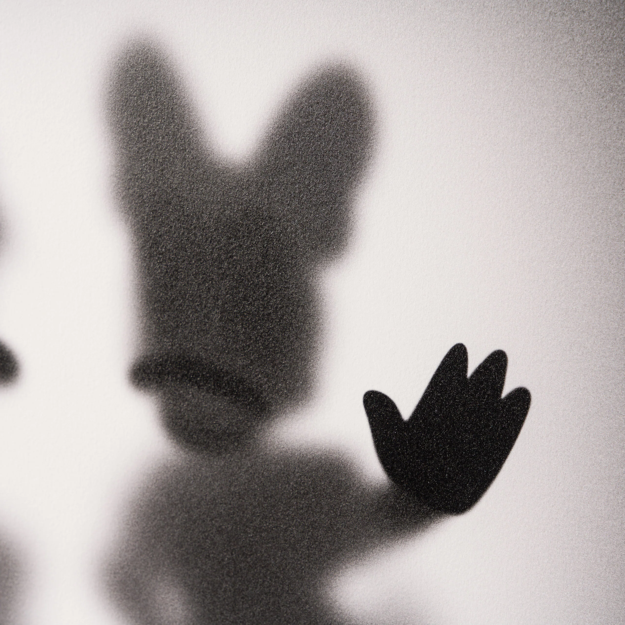 Gone, Mr & Mrs Duck - Image 4