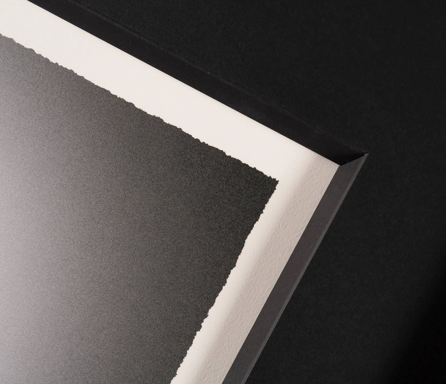 Gone, 2022 | Framed Set of Two (Medium) - Image 4
