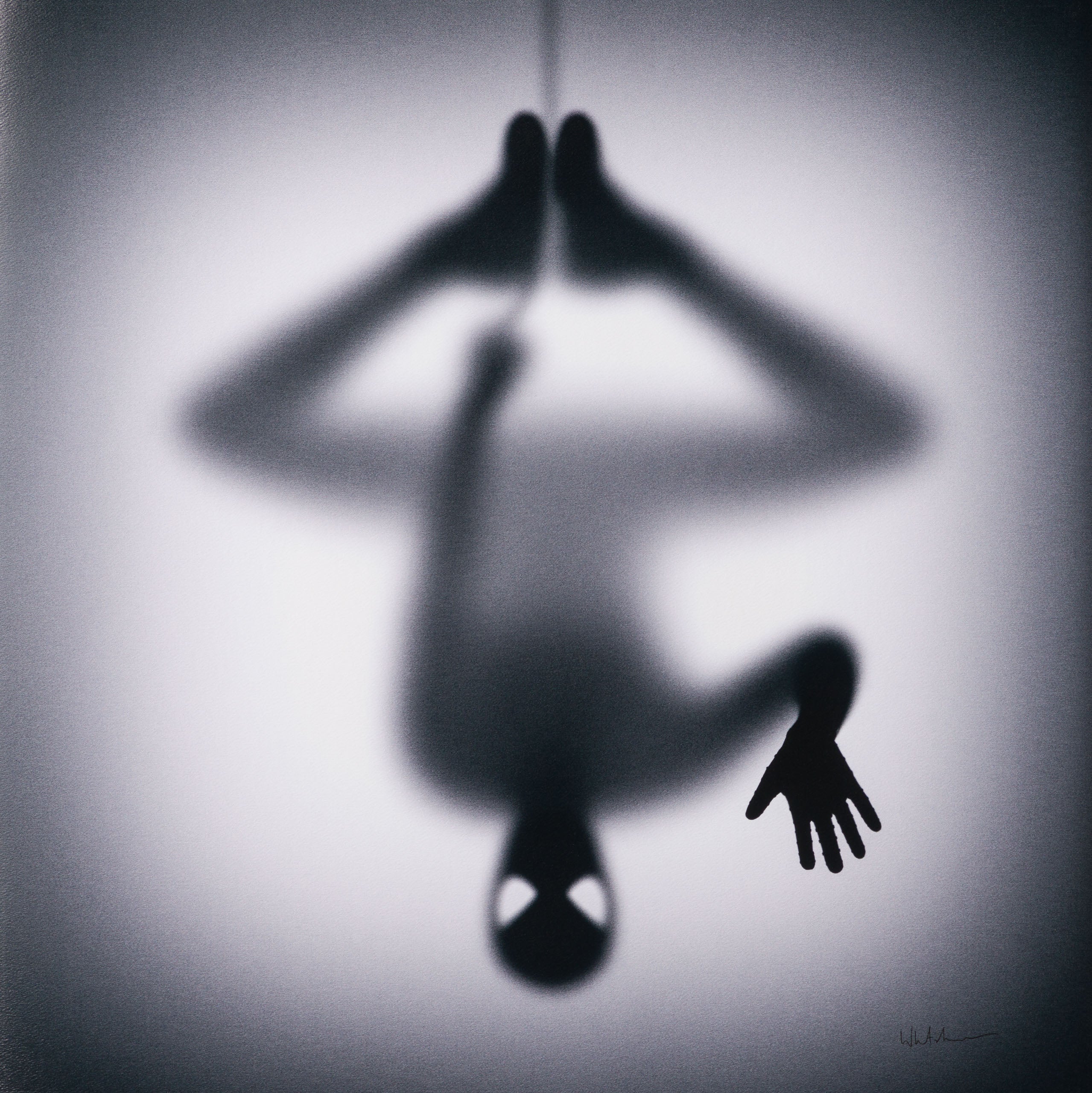 Gone, Peter (Large) - Image 4