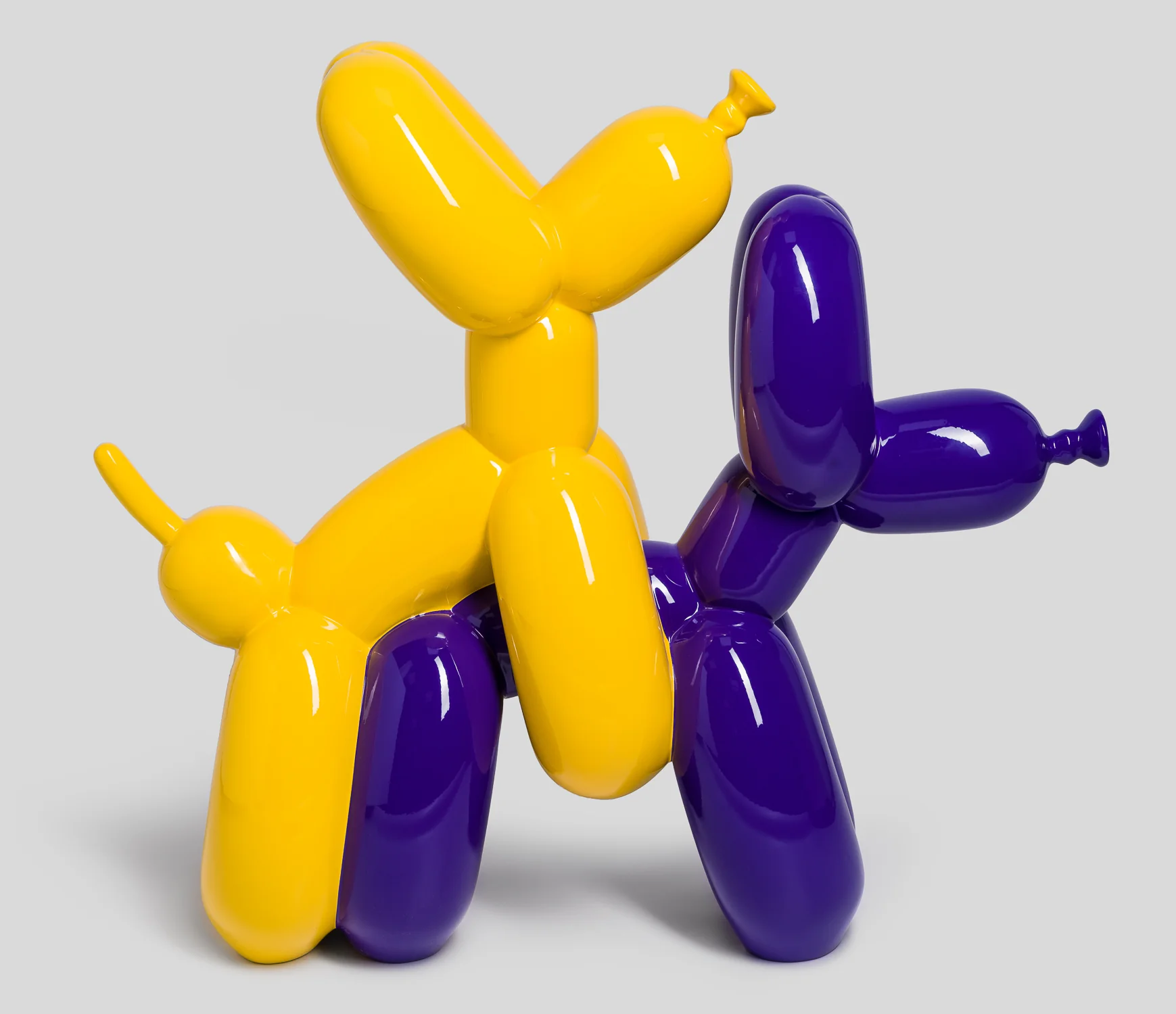 Humping Dog- Yellow & Purple